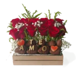 Rosas que Hablan de Amor